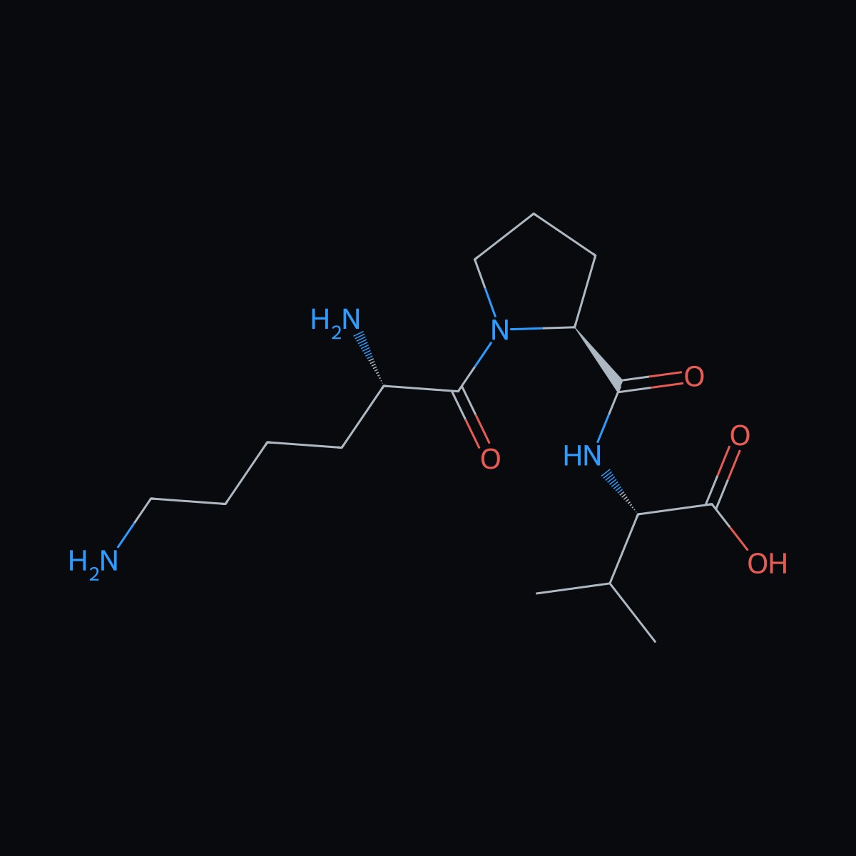 KPV — Lyophilized Research Material - Image 2