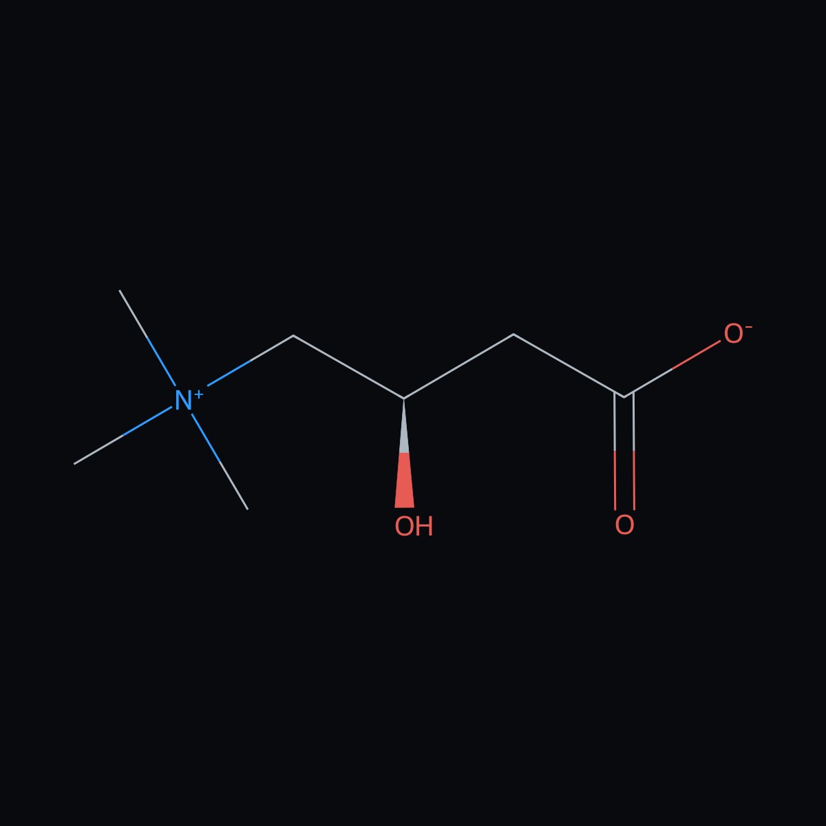 L-carnitine — Lyophilized Research Material - Image 2