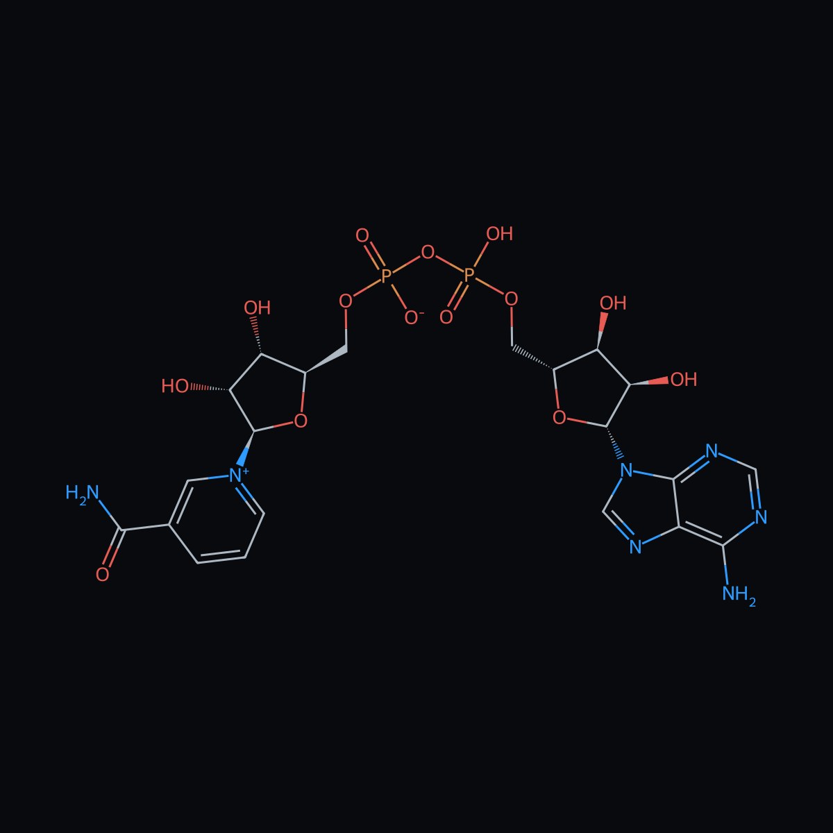 NAD+ — Lyophilized Research Material - Image 2